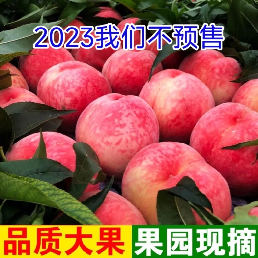 襄樊突围桃，毛桃电商一件代发