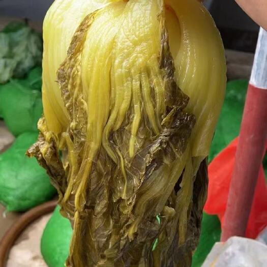博白县潮汕风味酸菜云南，广西小叶酸菜，厂家直供