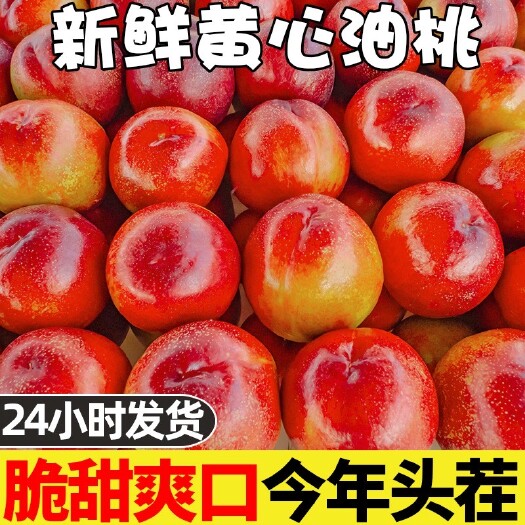 黄心油桃5斤新鲜当季水果整箱蜜脆甜桃子应季大水密桃包邮