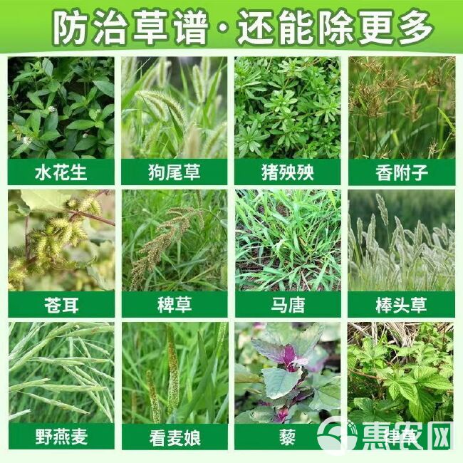  草甘膦%41草甘膦异丙胺盐除草剂死根烂根，除草剂，厂家销售