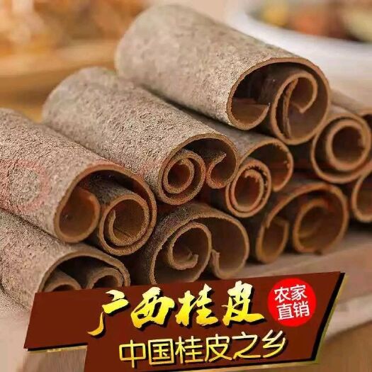 陆川县广西桂皮桂通