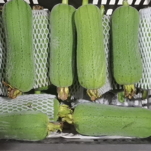 南平肉丝瓜