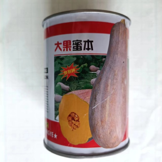 青县蔬菜种子 蜜本南瓜种子 甘甜面南瓜种籽 粒尔田大果蜜本