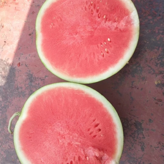 南宁广西甜王西瓜大量供应