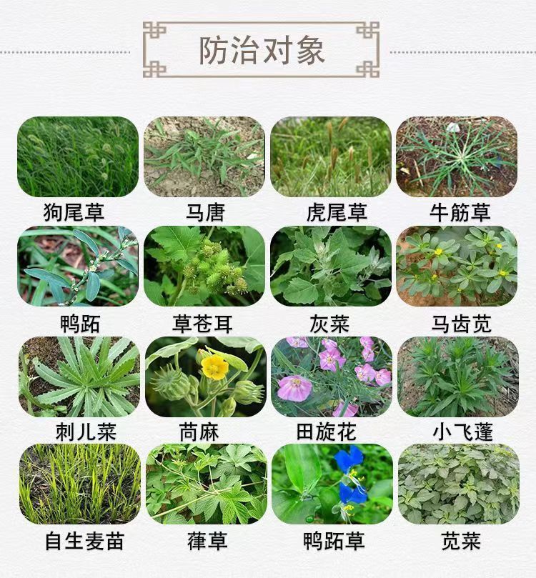 烟嘧莠去津烟密磺隆玉米苗后专用除草剂农药