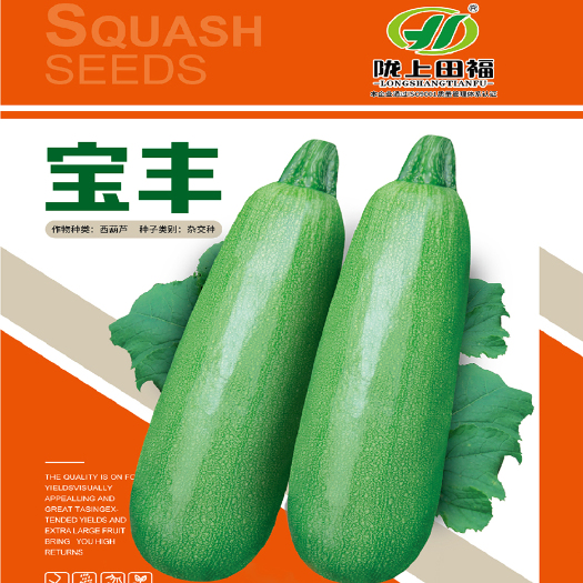 酒泉食用西葫芦种子 宝丰