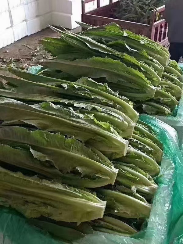 代辦各種蔬菜