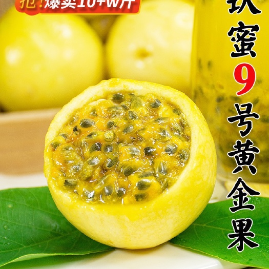 钦蜜9号黄金百香果口感纯甜多汁果肉饱满 树上自然成熟新鲜采摘