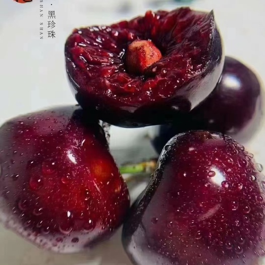 汉源县汉源大樱桃车厘子，自家果园，精品套袋，脆甜多汁，批发零售