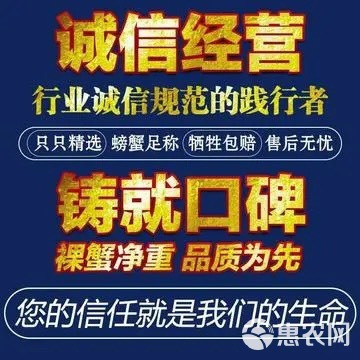 现货江苏大闸蟹母蟹螃蟹供酒店、零售店、自助餐饭店、批发市场