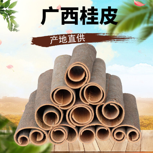 陆川县广西桂皮桂通