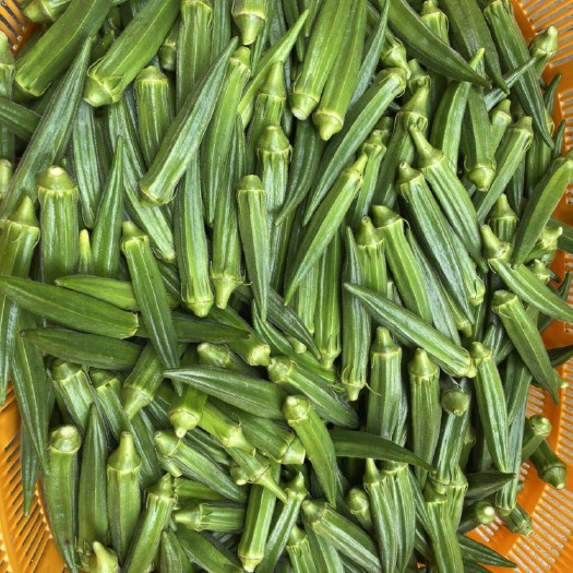 湛江秋葵直销