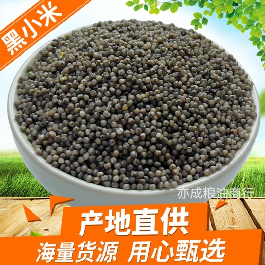 黑小米批发东北黑色小米黑色粮食25kg