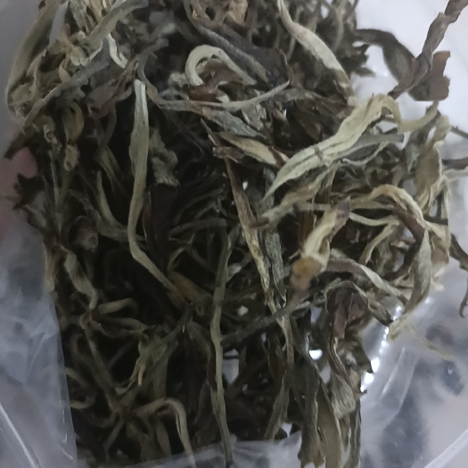 墨江县普洱白茶