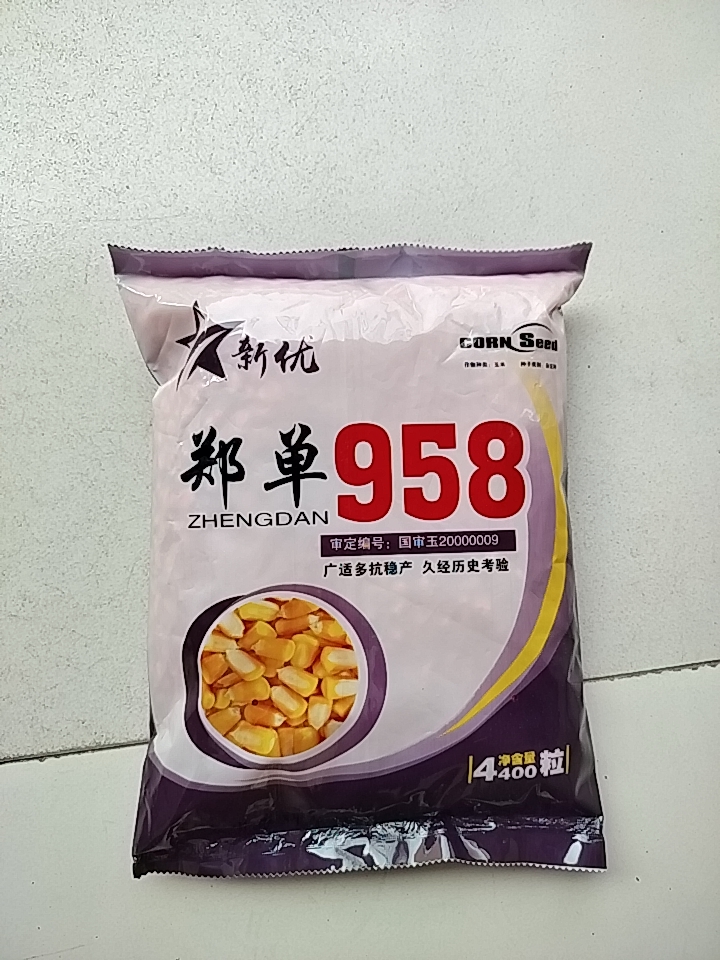郑州郑单958玉米种子