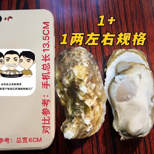 乳山市乳山精品大实肉