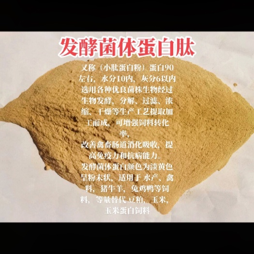 石家庄菌体蛋白