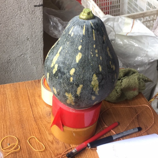 南瓜