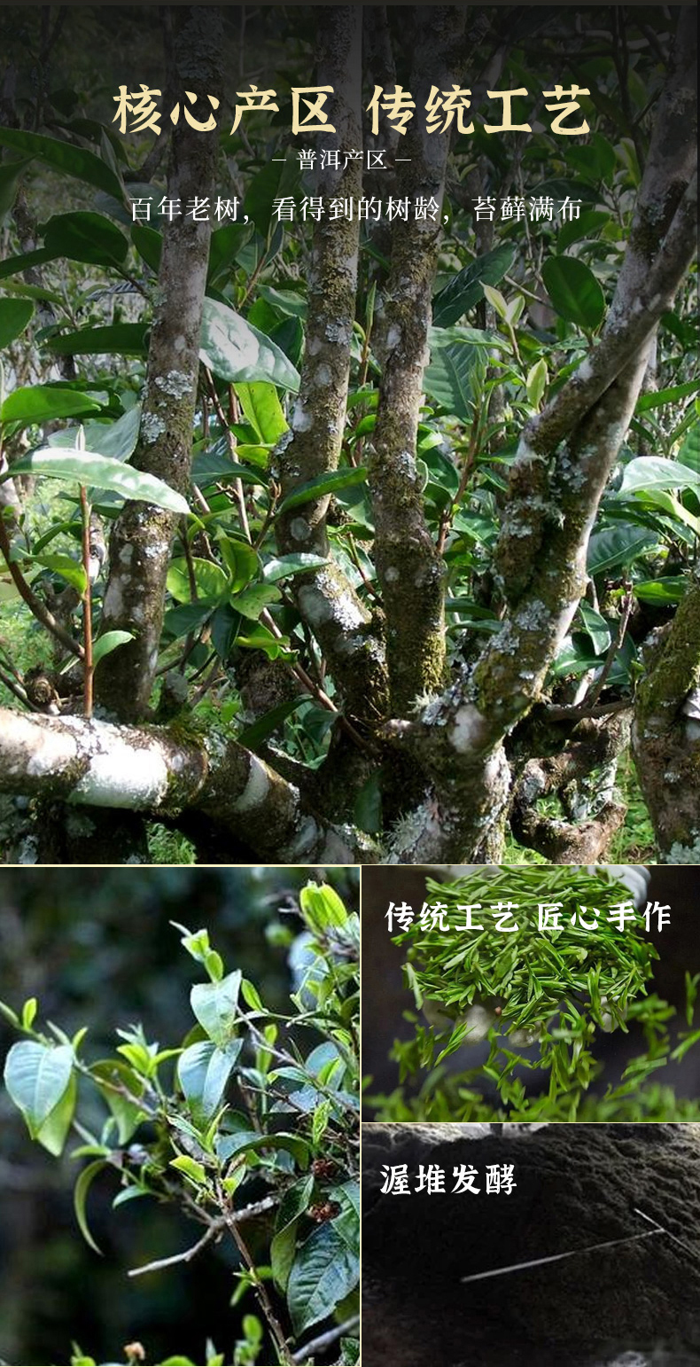 云南古树普洱茶熟茶碎银茶子茶化石罐装糯米香茶叶500g黑茶