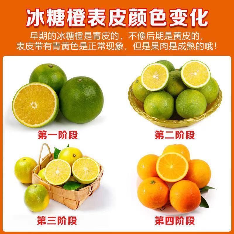 [现货 麻阳冰糖橙]橙子10斤新鲜现摘超橙当季水果整箱手剥