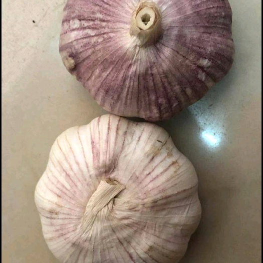 邳州市紫皮大蒜