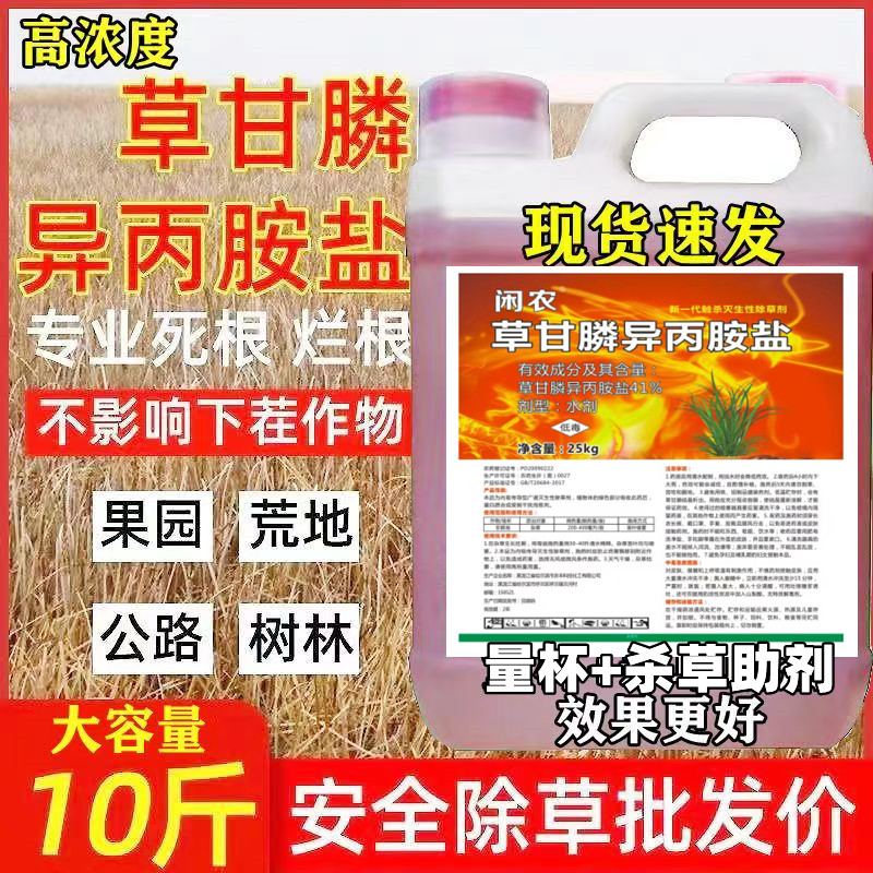 郑州5公斤/25公斤大桶41草甘膦除草剂死根烂根不伤果树斩草除根