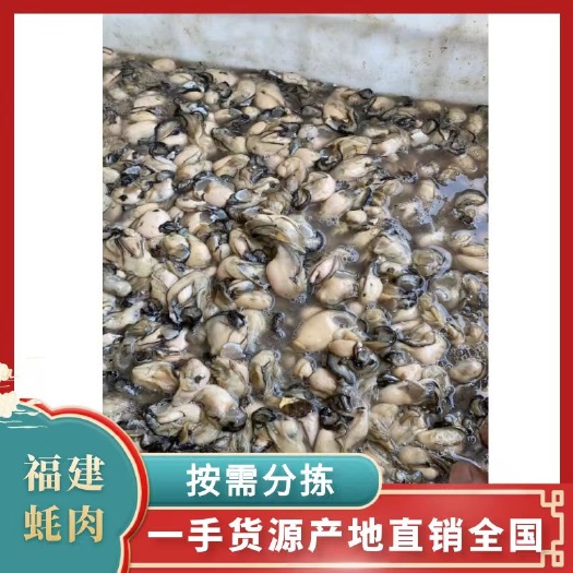 诏安县福建蚝肉