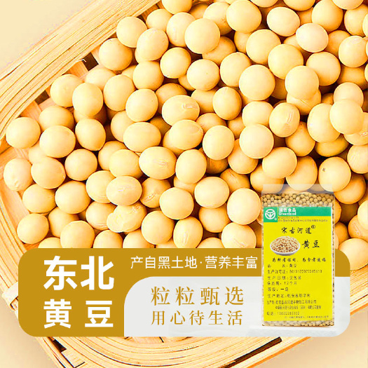 乾安县东北非转基因黄豆