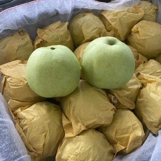 冠县大量供应冠县绿宝石梨，量大货优，可社区团购，一件代发