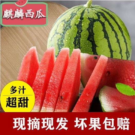 【夏季 麒麟西瓜】西瓜新鲜水果超甜西瓜冰糖麒麟瓜薄皮多汁