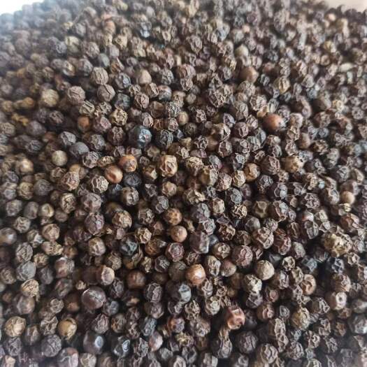 临洮县黑胡椒，越南产，品质优，32吨，在甘肃临洮