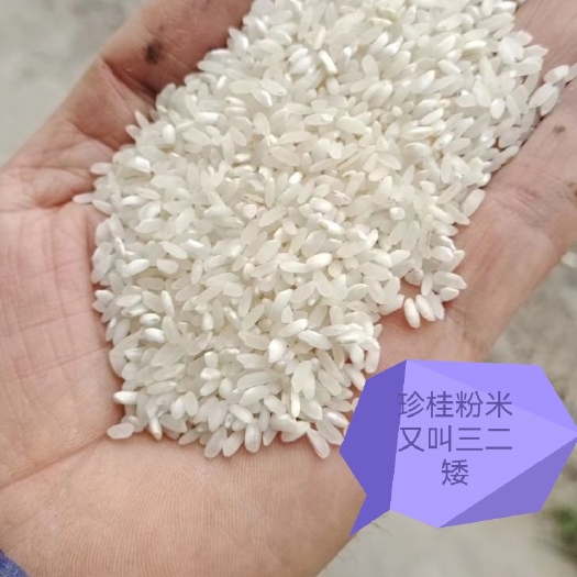 玉林珍桂大米，三二矮大米，做粉，做米线专用