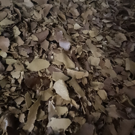中江县油渣