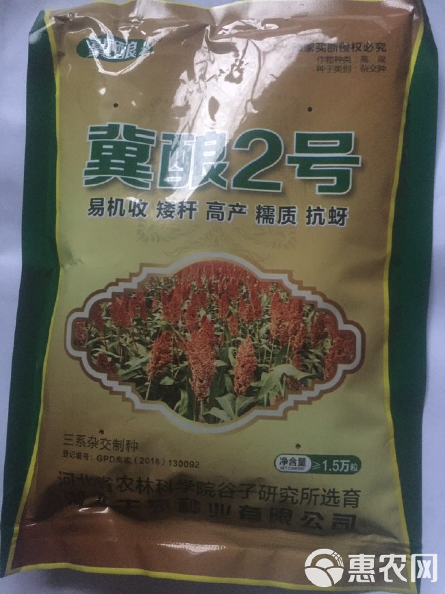 河北省农科院培育：冀酿2号高粱种子，食用酿酒两用高粱，产量高