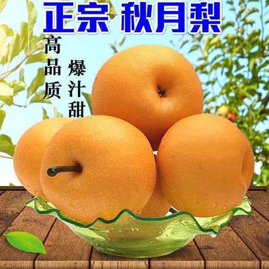 栖霞市正宗山东秋月梨子特级薄皮超甜【24小时发货】应季水果新鲜批发