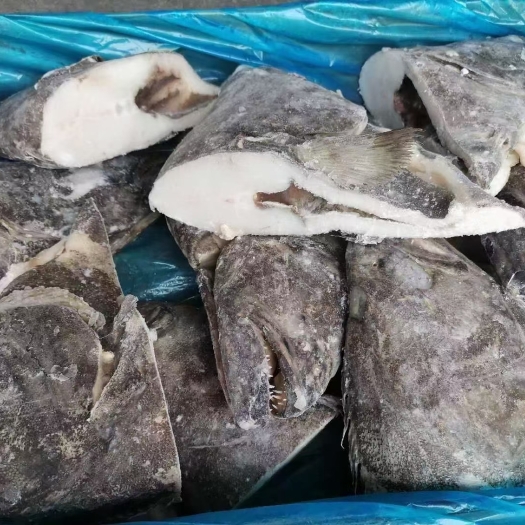 上海500-700规格原装蝶鱼头