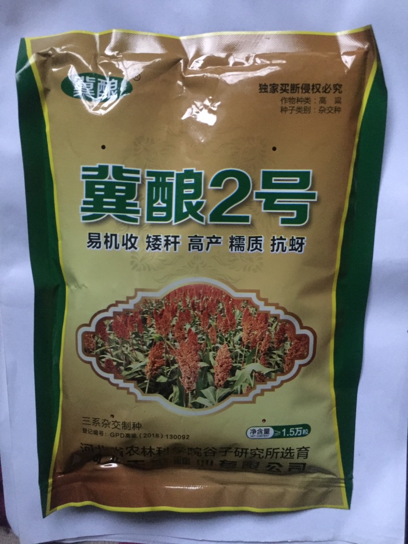 河北省农科院培育：冀酿2号高粱种子，食用酿酒两用高粱，产量高