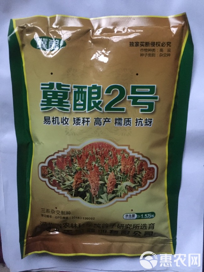 河北省农科院培育：冀酿2号高粱种子，食用酿酒两用高粱，产量高