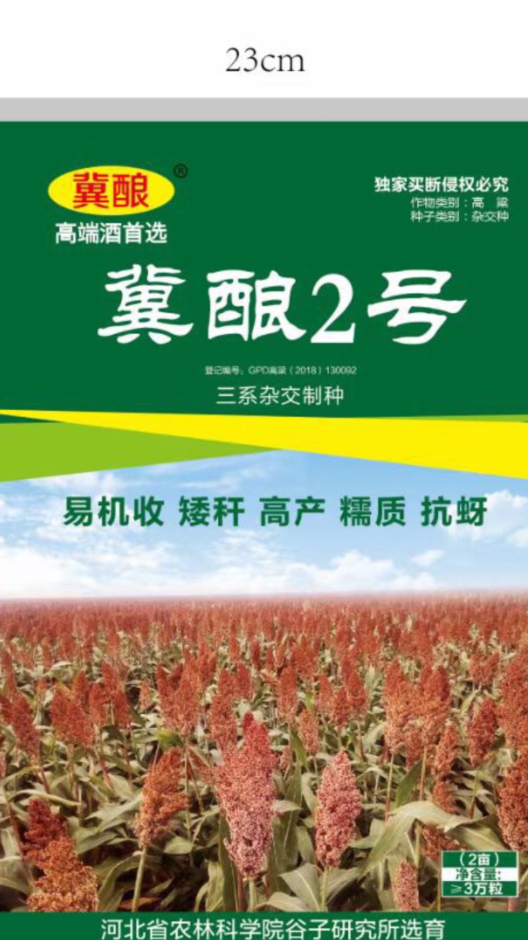 河北省农科院培育：冀酿2号高粱种子，食用酿酒两用高粱，产量高