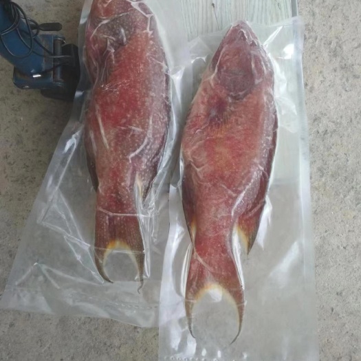 东星斑， 时间有点长