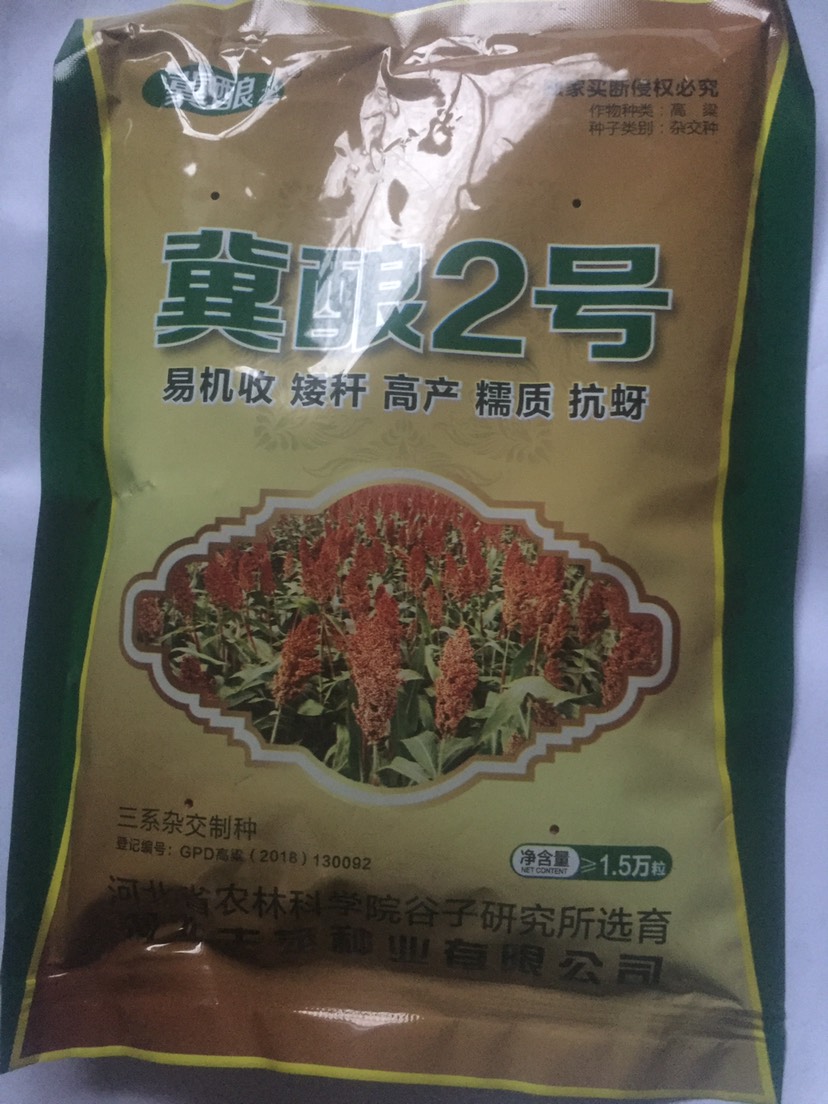 河北省农科院培育：冀酿2号高粱种子，食用酿酒两用高粱，产量高