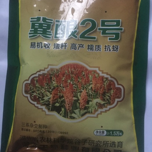 河北省农科院培育：冀酿2号高粱种子，食用酿酒两用高粱，产量高