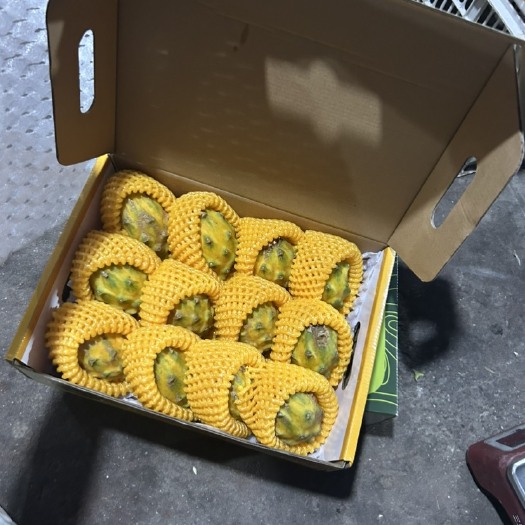 三亚燕窝果
