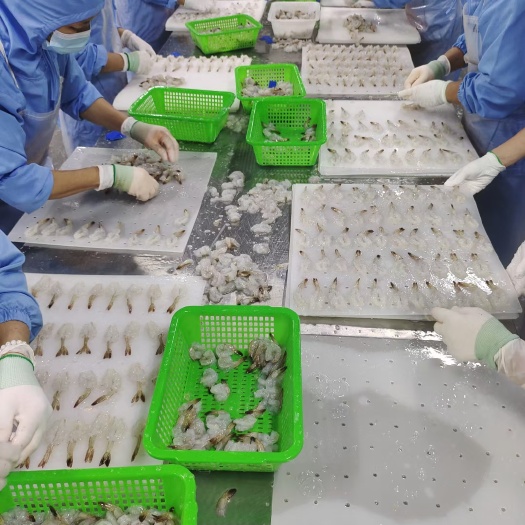 长沙蝴蝶虾（汉虾），全规格……