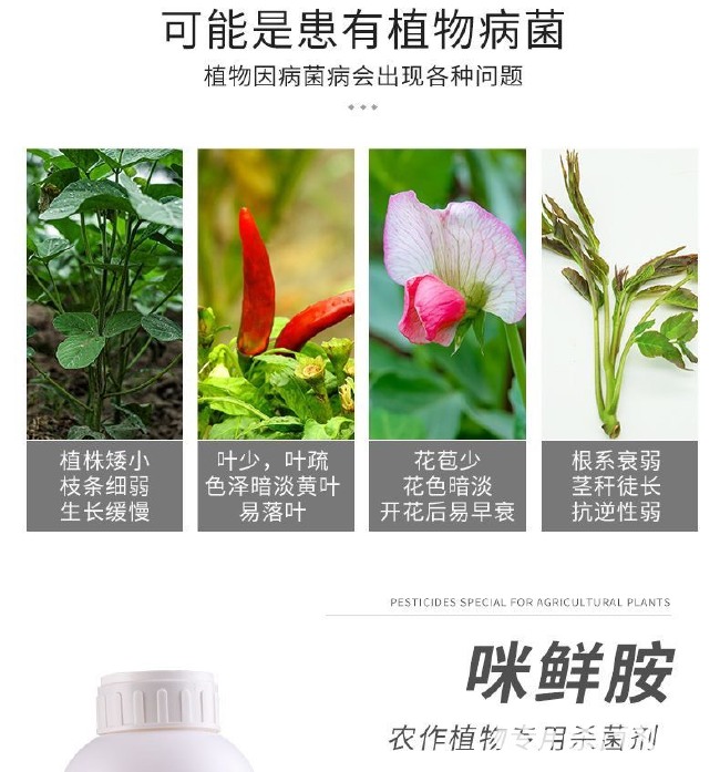 剑牌剑安45%咪鲜胺水乳剂炭疽病蔬菜果树杀菌剂柑橘保鲜