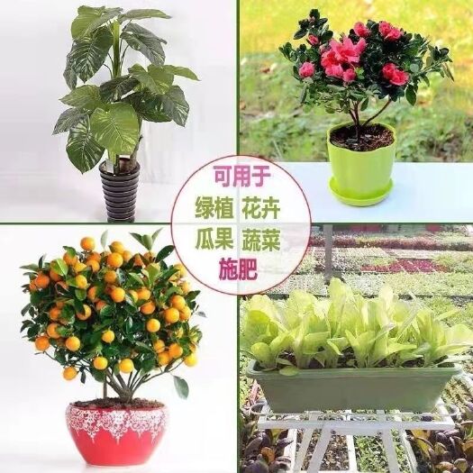 济宁生物有机肥微生物菌剂颗粒有机肥农用肥