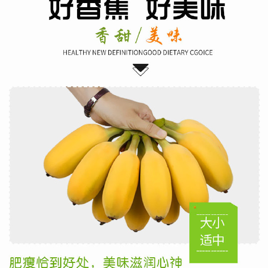 南宁广西苹果蕉当季新鲜水果产地直发苹果蕉香蕉一件代发