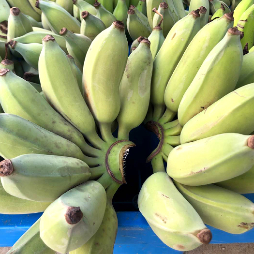 广西农家自种小米蕉现砍现发当季新鲜水果一件代发产地直发