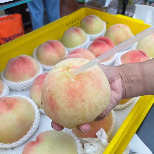 无锡阳山水蜜桃——夏日甜品牌