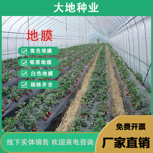 灌云县【高品质】黑地膜，白色地膜，银黑膜除草果园蔬菜保湿大棚专用